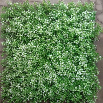 Kháng tia cực tím Cỏ tường nhân tạo bảo trì thấp cho không gian sống thoải mái đẹp với hình vuông