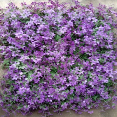 50cm * 50cm Kích thước Cỏ tường nhân tạo Độ bền mạnh Khử nước nhanh Để trang trí và làm đẹp