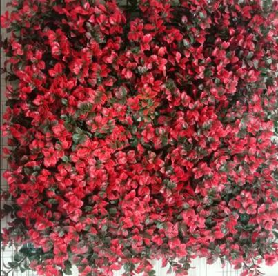 chất lượng  Artificial Wall Grass Natural Looking Low Maintenance Solution For Indoor Outdoor Spaces nhà máy sản xuất
