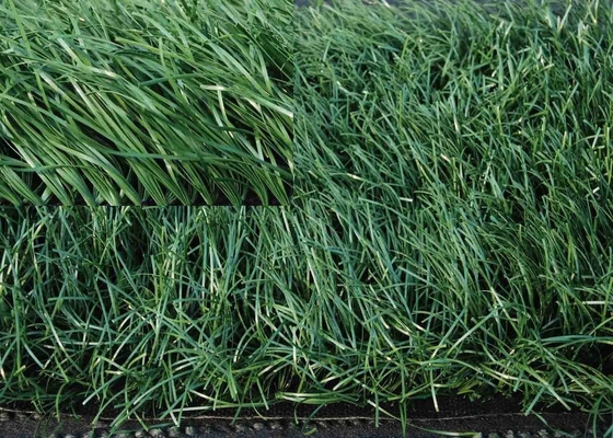 60mm Balcony Synthetic Grass 140 Stitches/M Green Fake Grass với 5/8' Gauge
