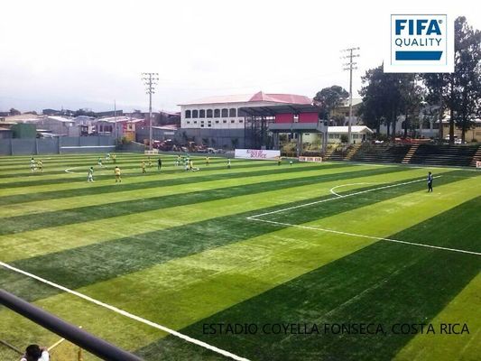 Sân cỏ nhân tạo mật độ cao cọc 55mm được FIFA chứng nhận dành cho sân bóng đá với mức bảo trì thấp