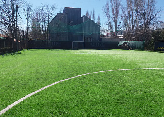 Cỏ nhân tạo bóng đá có chiều cao cọc 50mm chống tia cực tím được FIFA phê duyệt với mật độ cao và bảo trì thấp