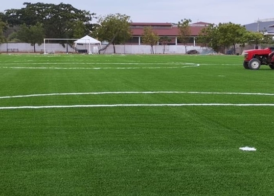 Cỏ nhân tạo bóng đá 50mm 160 khâu / M Cỏ giả ngoài trời Cho sân bóng đá và các hoạt động ngoài trời với bảo trì thấp