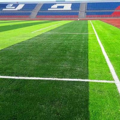 Cỏ nhân tạo bóng đá có chiều cao cọc 50mm chống tia cực tím được FIFA phê duyệt với mật độ cao và bảo trì thấp
