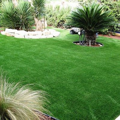 Cỏ nhân tạo xanh 30mm dùng cho khu vực thú cưng hoặc sân thượng, có khả năng chống tia UV và độ đàn hồi tốt