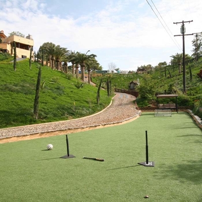 48mm Leisure Landscape Artificial Green Fake Turf mật độ cao Dtex cao Bảo trì thấp Nhìn thực tế