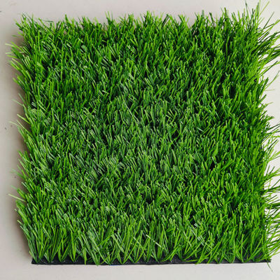 50mm Độ cao đống Gần 50mm Độ cao đống 50mm Độ cao đống 50mm Độ cao đống 50mm Độ cao đống 50mm Độ cao đống 50mm Độ cao đống 50mm Độ cao đống 50mm Độ cao đống 50mm Độ cao đống 50mm Độ cao đống 50mm Độ cao đống 50mm Độ cao đống 50mm Độ cao đống 50mm Độ cao đống 50mm Độ cao đống 50mm Độ cao đống 50mm Độ cao đống 50mm Độ cao đống 50mm Độ cao đống 50mm Độ cao đống 50mm Độ cao đống 50mm Độ cao đống 50 mm Độ cao đống 50mm Độ cao đống 50mm Độ cao đống 50mm Độ cao đống 50mm Độ cao đống 50mm Độ cao đống 50