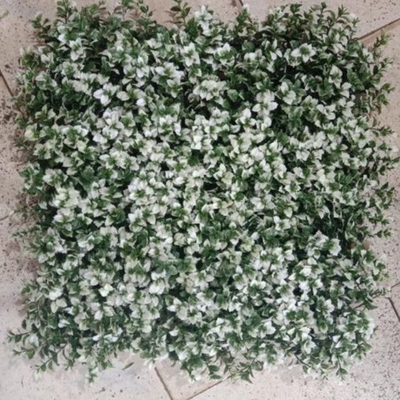 50cm * 50cm Cỏ xanh giả Kích thước tường PE tùy chỉnh