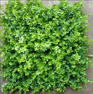 Cỏ tường nhân tạo Tăng sức hấp dẫn thẩm mỹ cho văn phòng Nhà ở Nơi như quán cà phê và nhà hàng