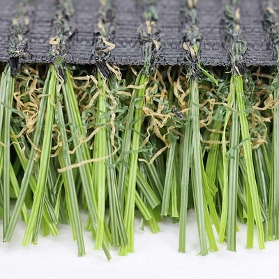 Công suất hàng năm của nhà máy Cỏ tổng hợp trong các cuộn cỏ nhân tạo Chọn cỏ thể thao cuối cùng cho sân chơi
