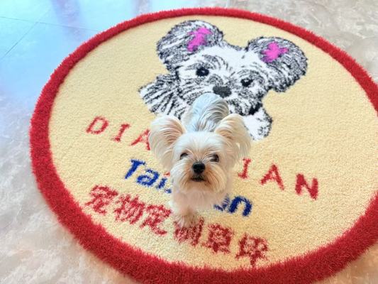Kháng UV Màu sắc tùy chỉnh Cỏ nhân tạo cho vườn ươm và vật nuôi với bảo trì thấp