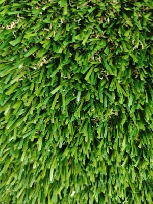 Không đầy màu xanh lá cây Cỏ nhân tạo Transparent Latex 30mm PE & PP vật liệu Cát nhỏ cần lỗ thoát nước