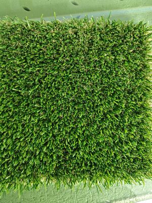 Cỏ nhân tạo không nhồi với chiều cao 30mm và keo mỏng mịn cho bãi cỏ thể thao 12400 Dtex Bảo trì thấp