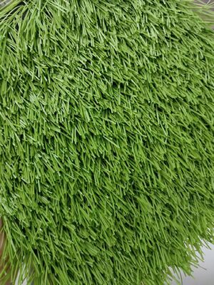 50mm Thể thao Cỏ nhân tạo Bóng đá Bóng đá Bóng chày Sân vận động Sân vận động Sân chơi Kháng UV Bảo trì thấp