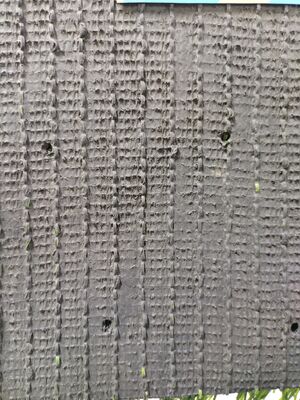 Cỏ nhân tạo 40mm chống tia UV đạt chứng nhận FIFA cho sân thể thao và sân vận động