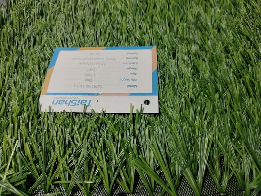 Cỏ nhân tạo bóng đá Dtex cao mật độ cao với độ thấm cao cho các lĩnh vực chuyên nghiệp và nghiệp dư cho các nhà bán buôn và phân phối