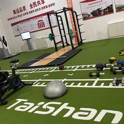 Cỏ nhân tạo chống tia UV cao 19mm với đường kẻ trắng cho phòng gym và sân golf, lắp đặt không cần hạt độn