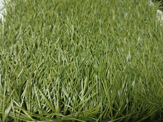 Cỏ nhân tạo sân bóng đá mật độ cao, cao 55mm, sợi 8000 Dtex, 220 mũi/mét, dùng cho sân vận động và sân tập