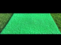 Taishan Nylon Sản phẩm mới