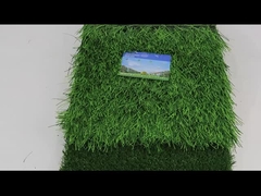 Sân cỏ nhân tạo bóng đá