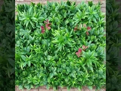 2025 Nhà cung cấp cỏ tường Taishan mới