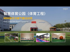 2025 New Venue taishan cỏ thể thao