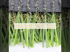 Công suất hàng năm của nhà máy Cỏ tổng hợp trong các cuộn cỏ nhân tạo Chọn cỏ thể thao cuối cùng cho sân chơi