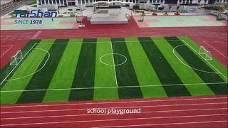Nhà cung cấp cỏ nhân tạo Taishan cả sản phẩm và dịch vụ